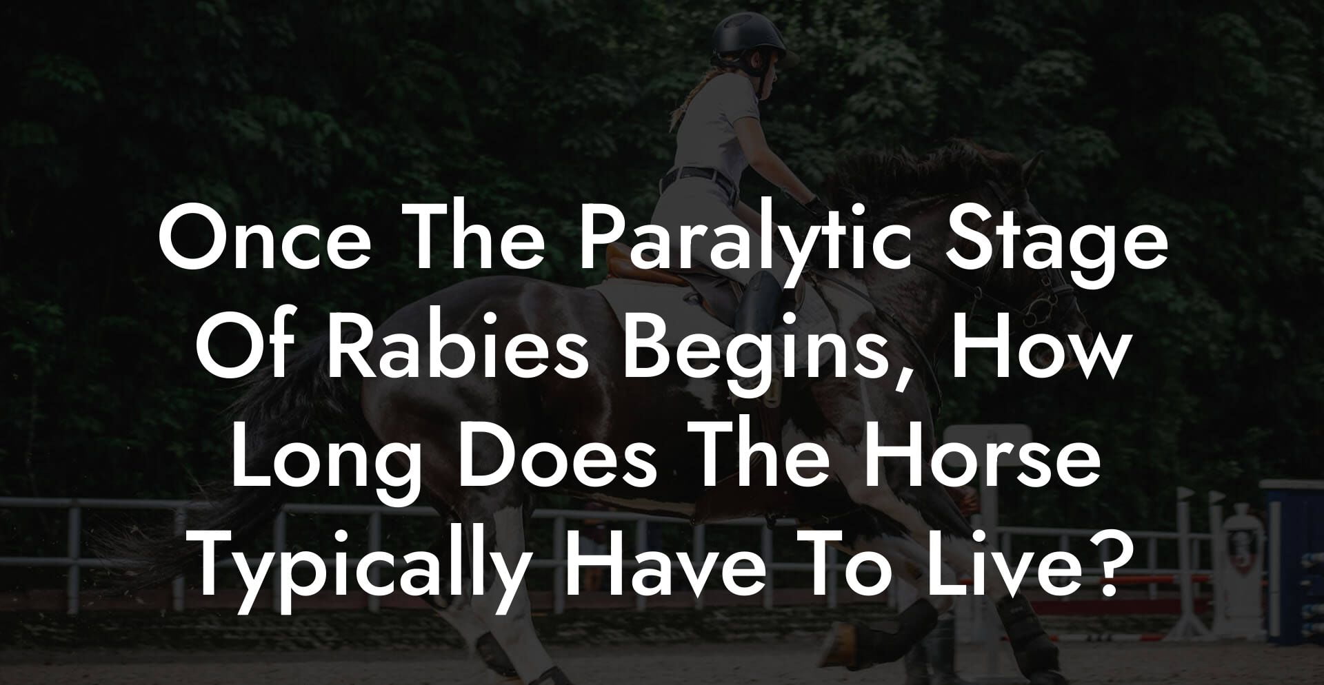 Once The Paralytic Stage Of Rabies Begins, How Long Does The Horse Typically Have To Live?