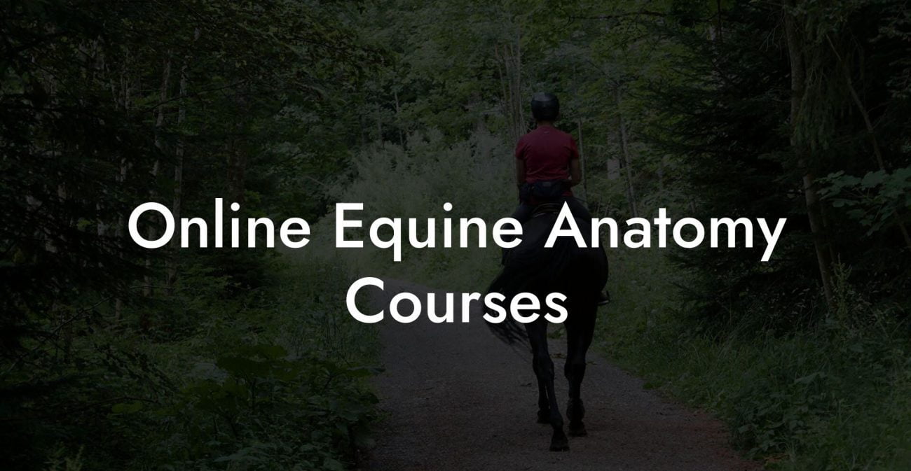 Online Equine Anatomy Courses