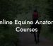 Online Equine Anatomy Courses