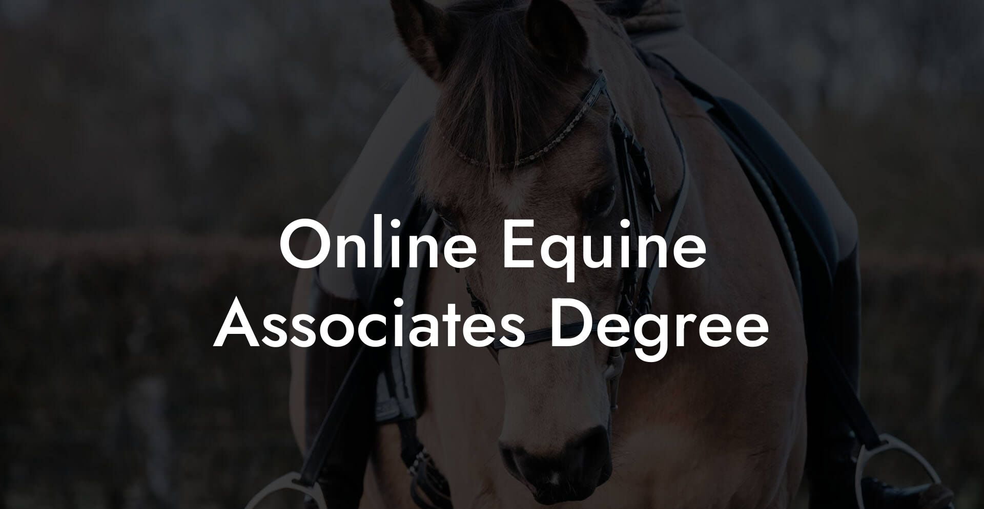 Online Equine Associates Degree