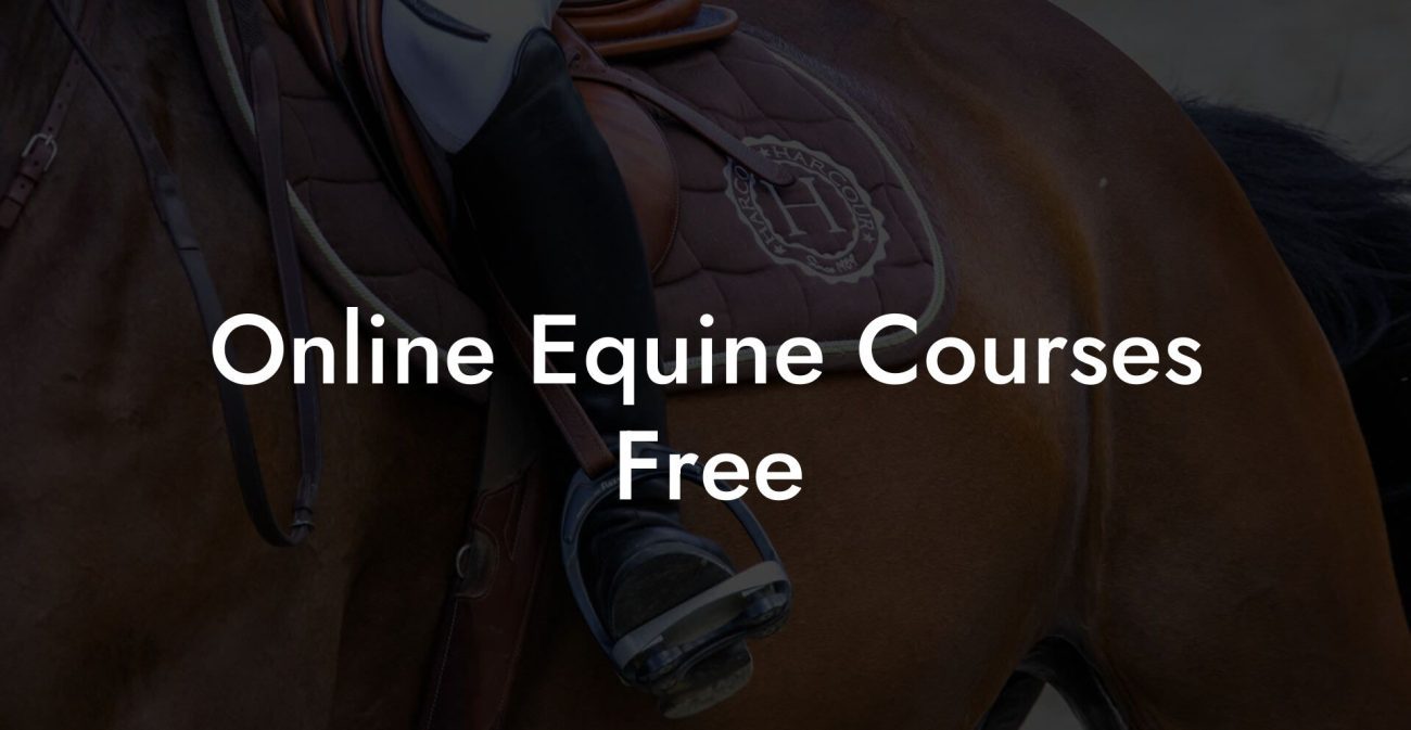 Online Equine Courses Free
