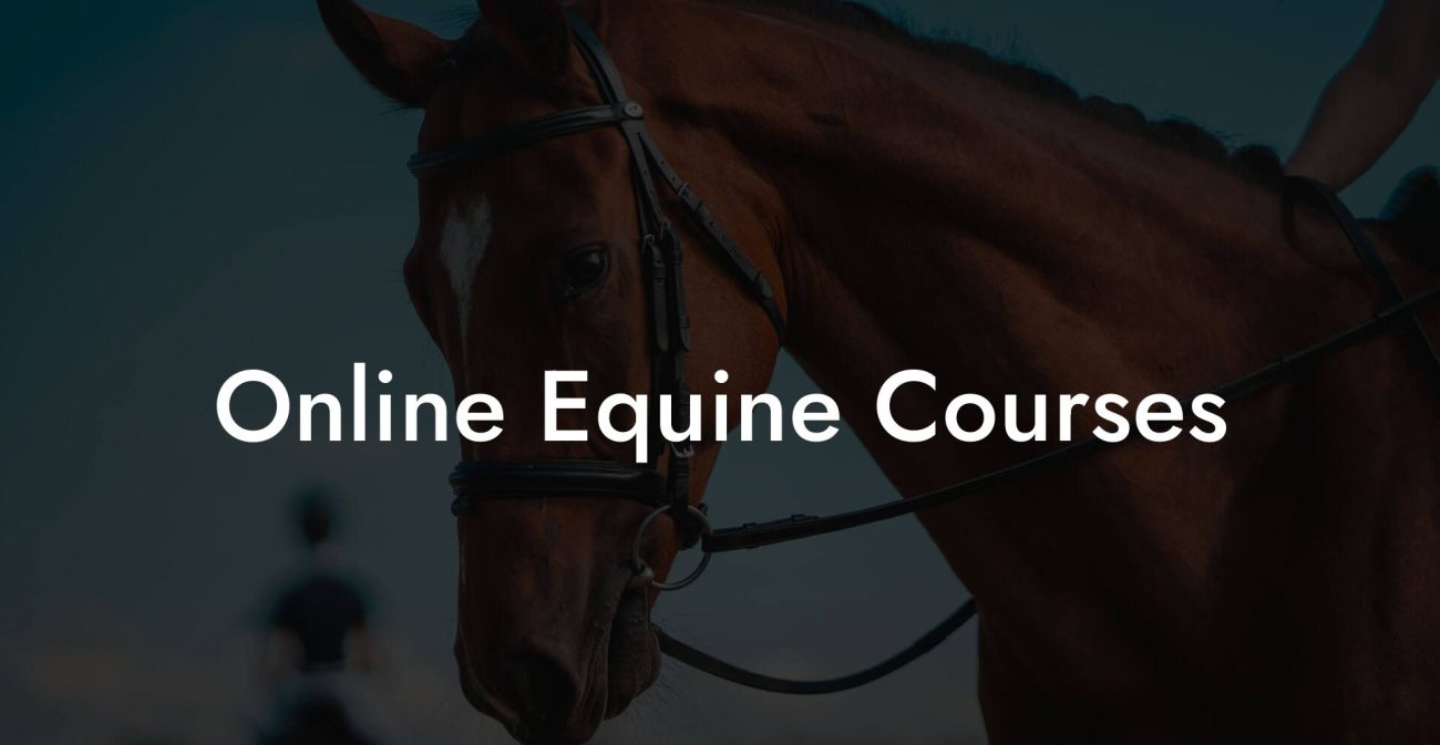 Online Equine Courses