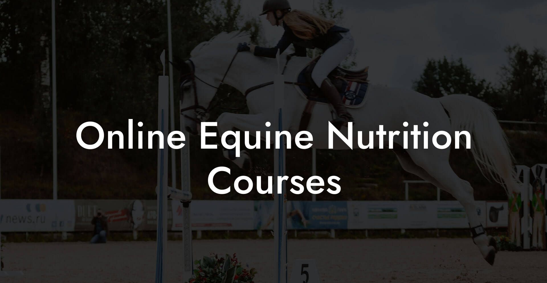 Online Equine Nutrition Courses