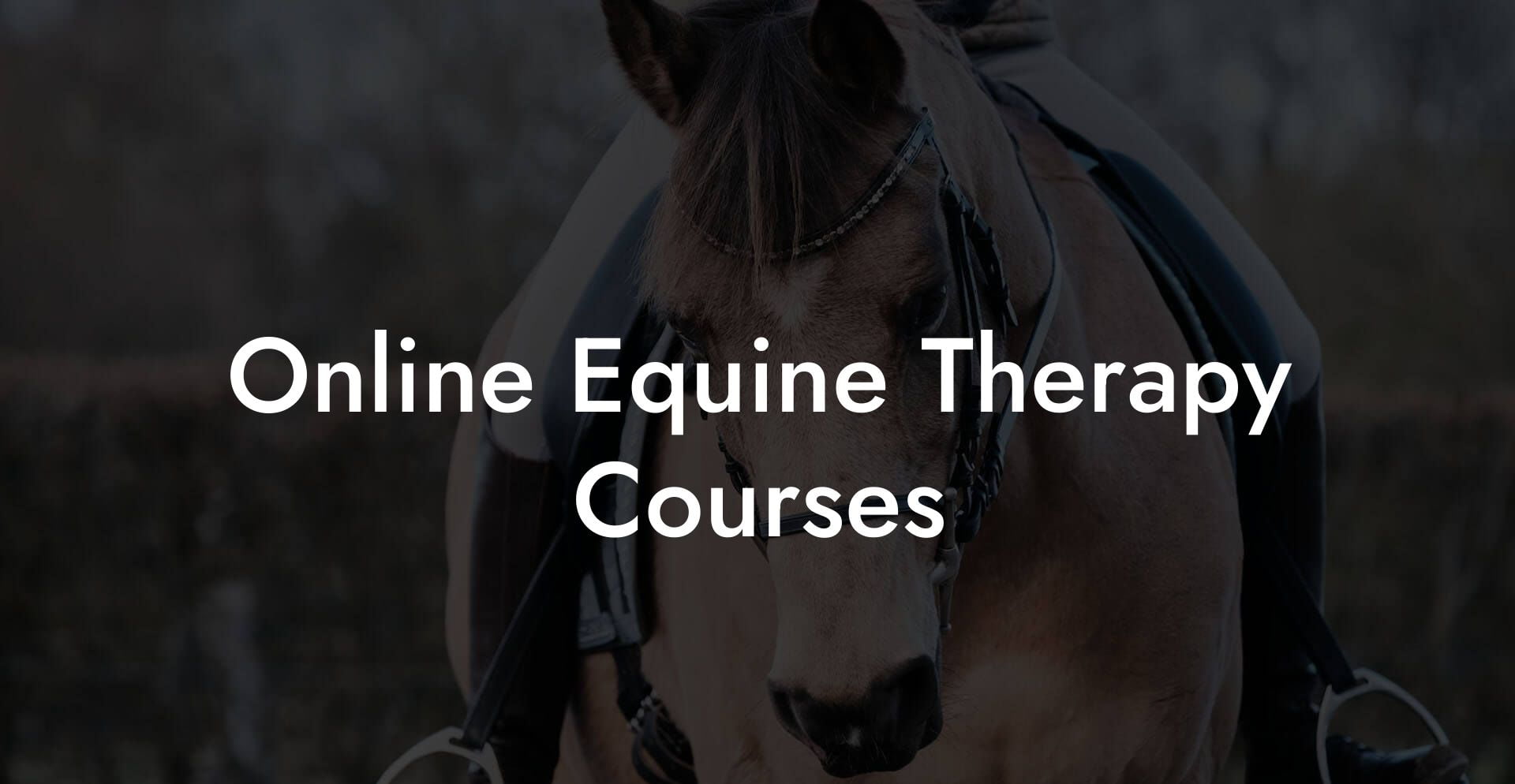 Online Equine Therapy Courses