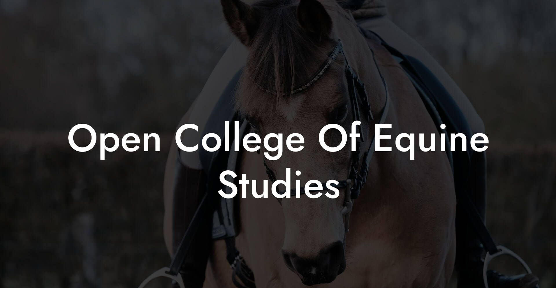 Open College Of Equine Studies