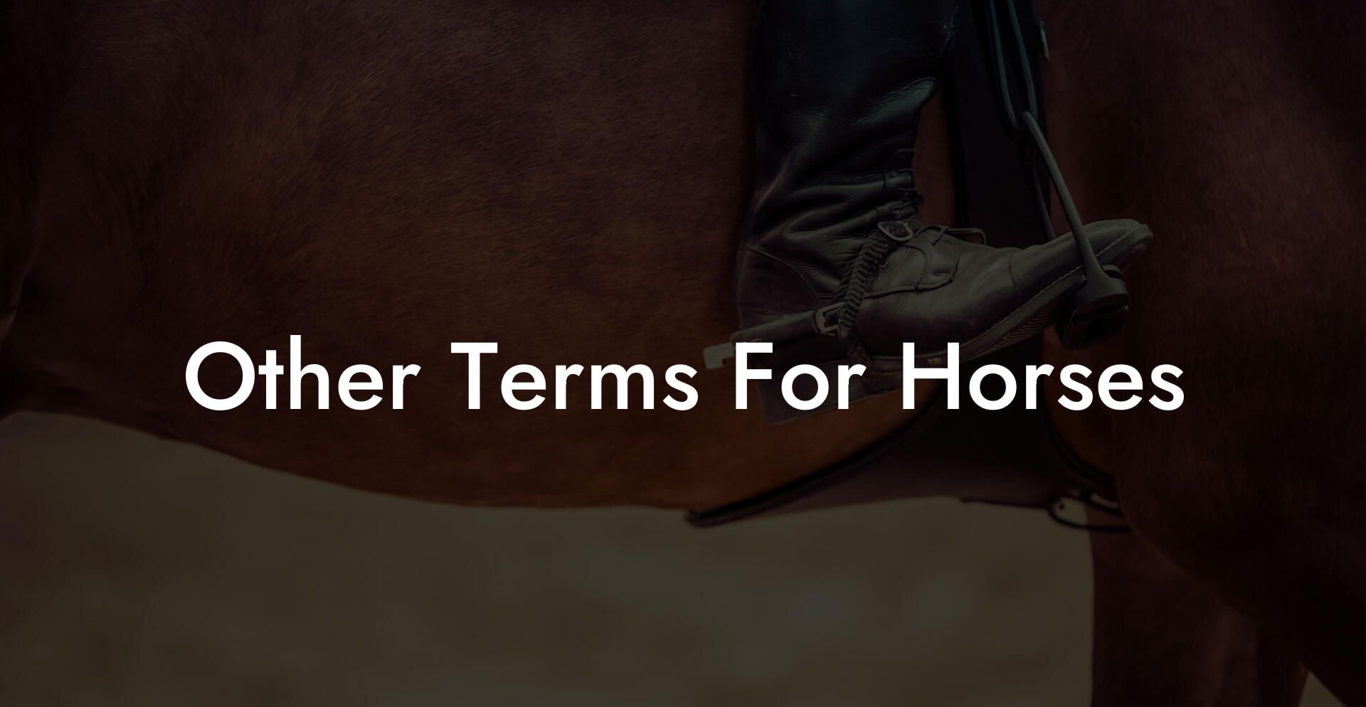 Other Terms For Horses