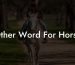 Other Word For Horse