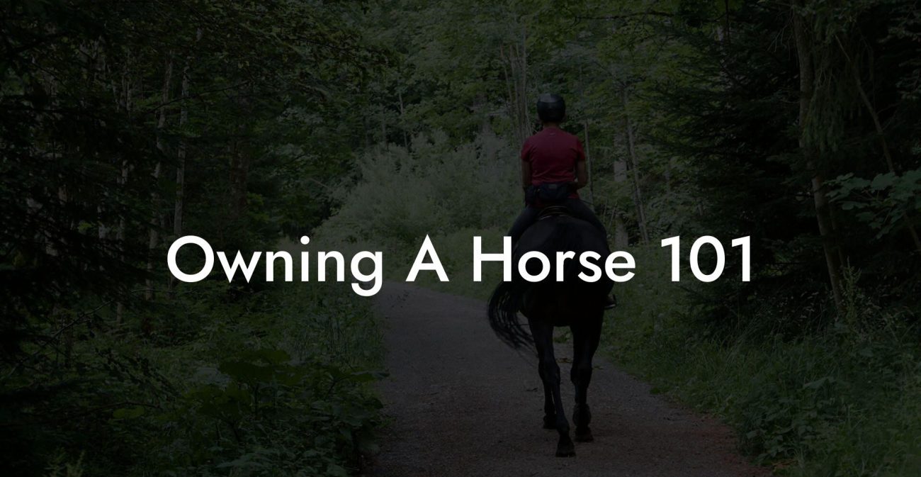 Owning A Horse 101