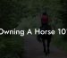 Owning A Horse 101