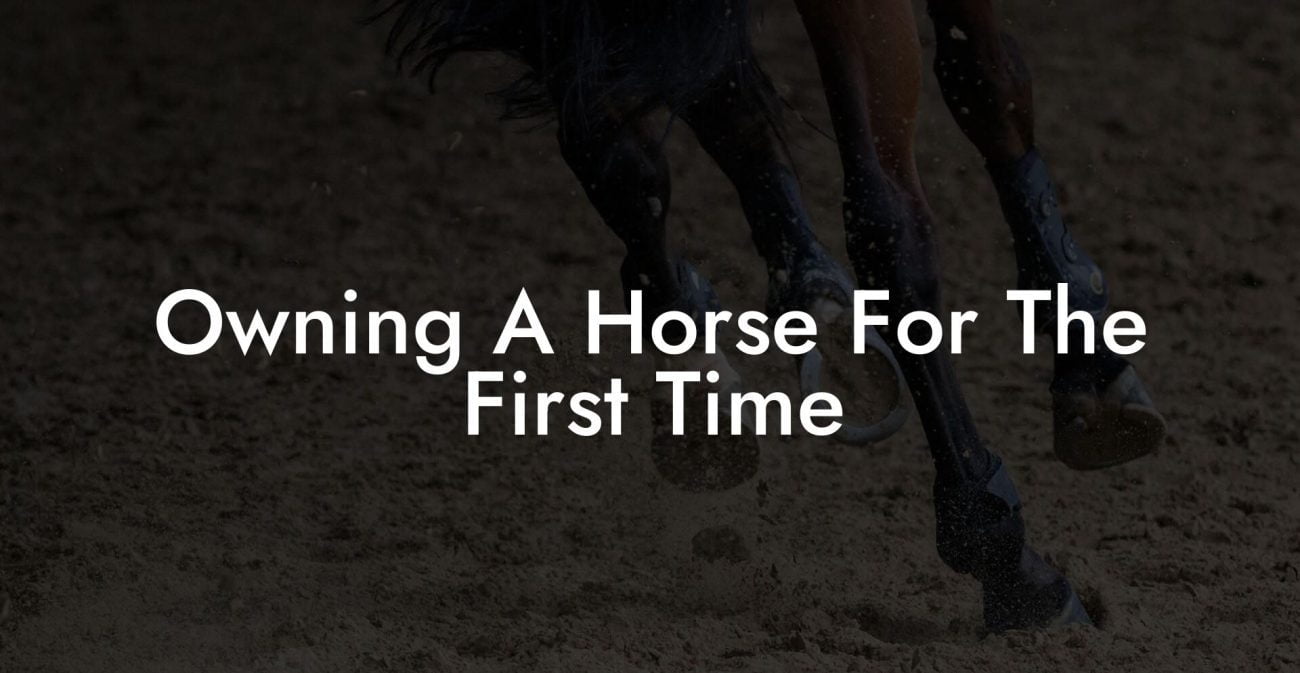 Owning A Horse For The First Time