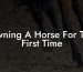 Owning A Horse For The First Time