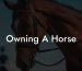 Owning A Horse