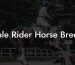 Pale Rider Horse Breed
