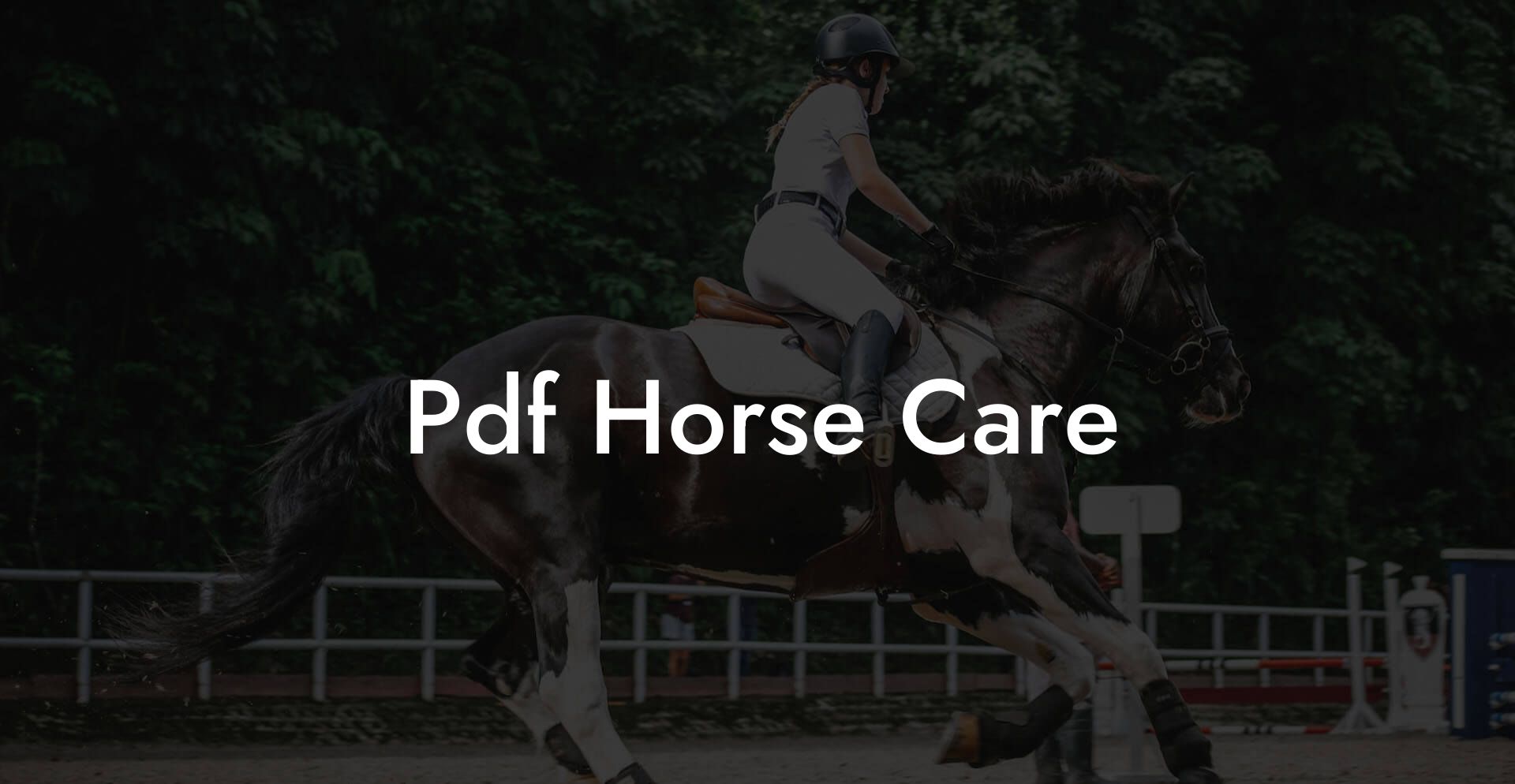 Pdf Horse Care