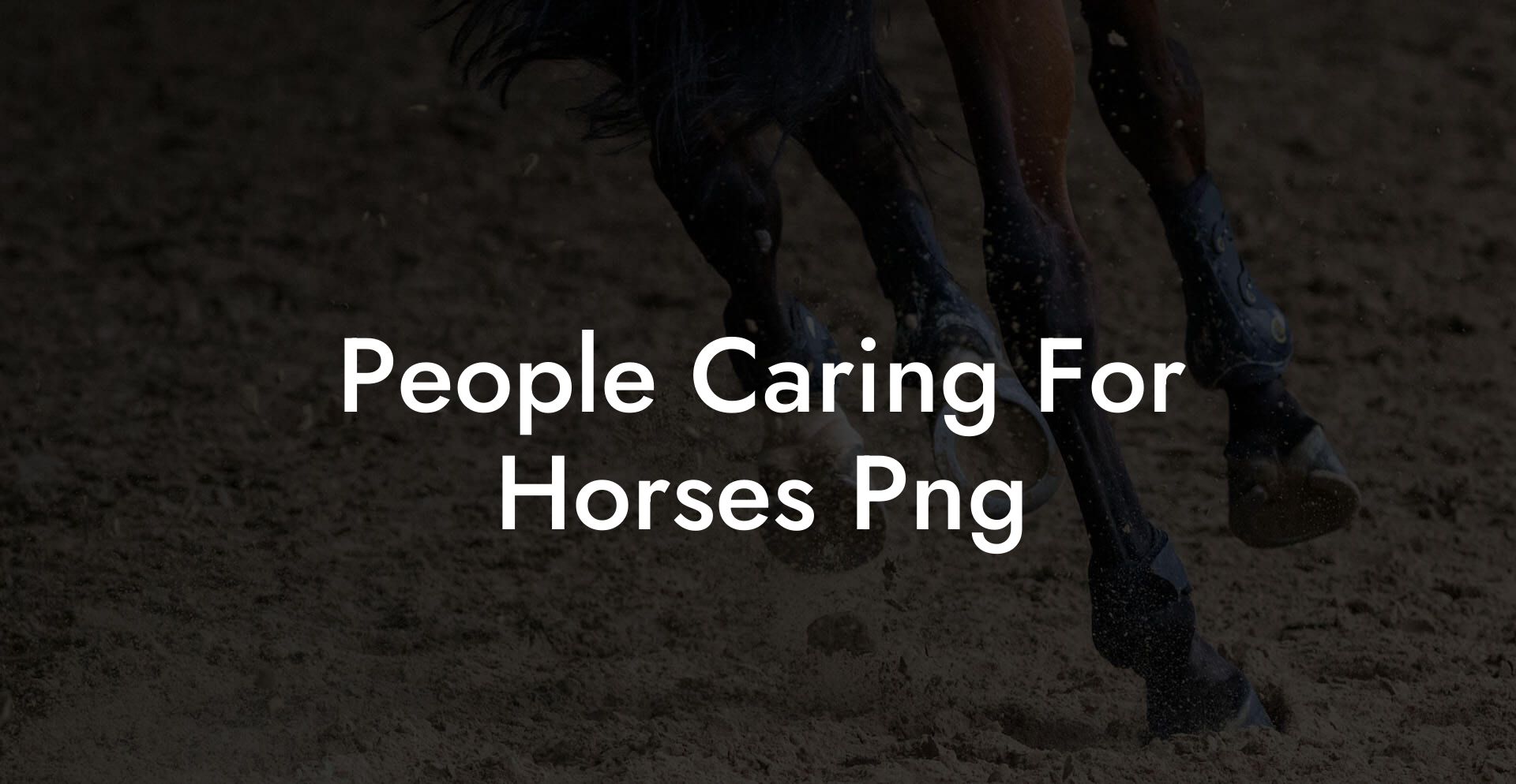 People Caring For Horses Png