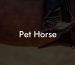 Pet Horse