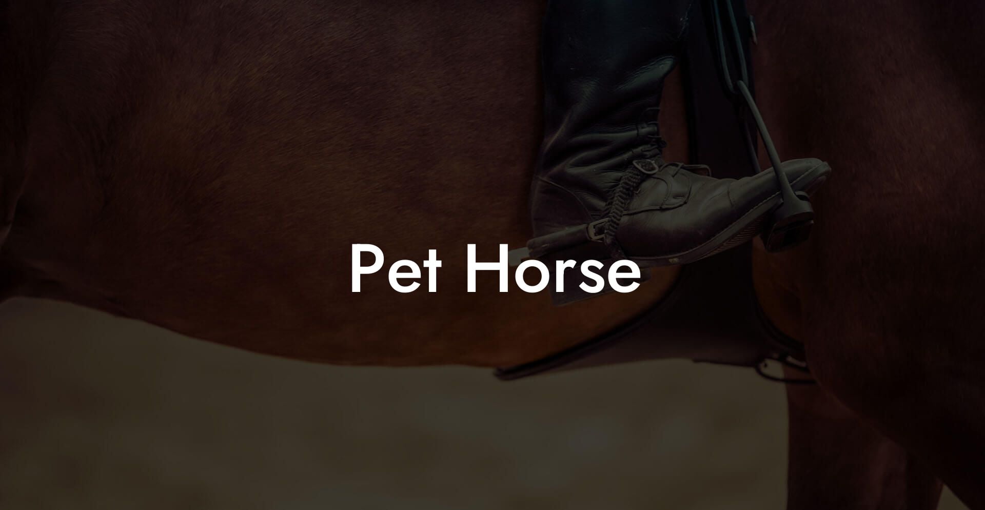 Pet Horse