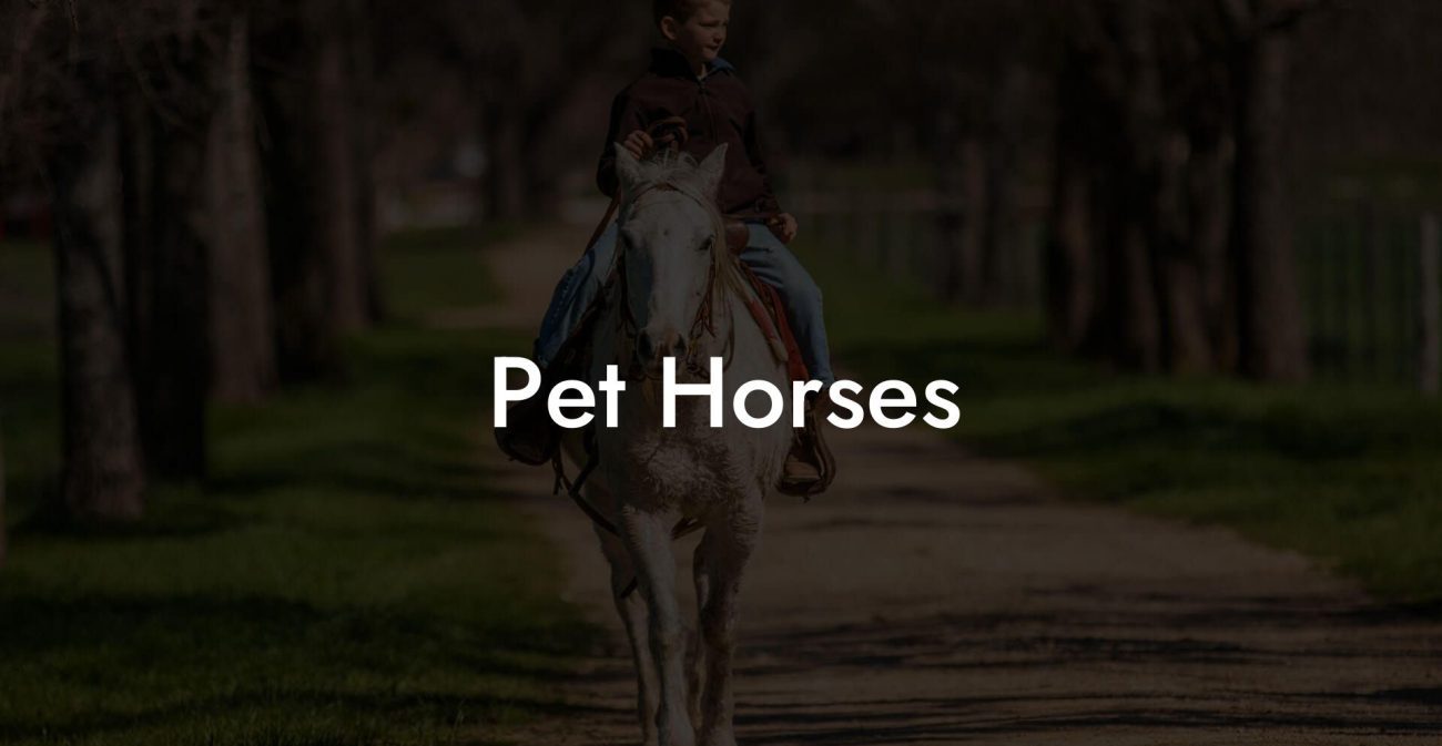 Pet Horses