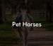 Pet Horses
