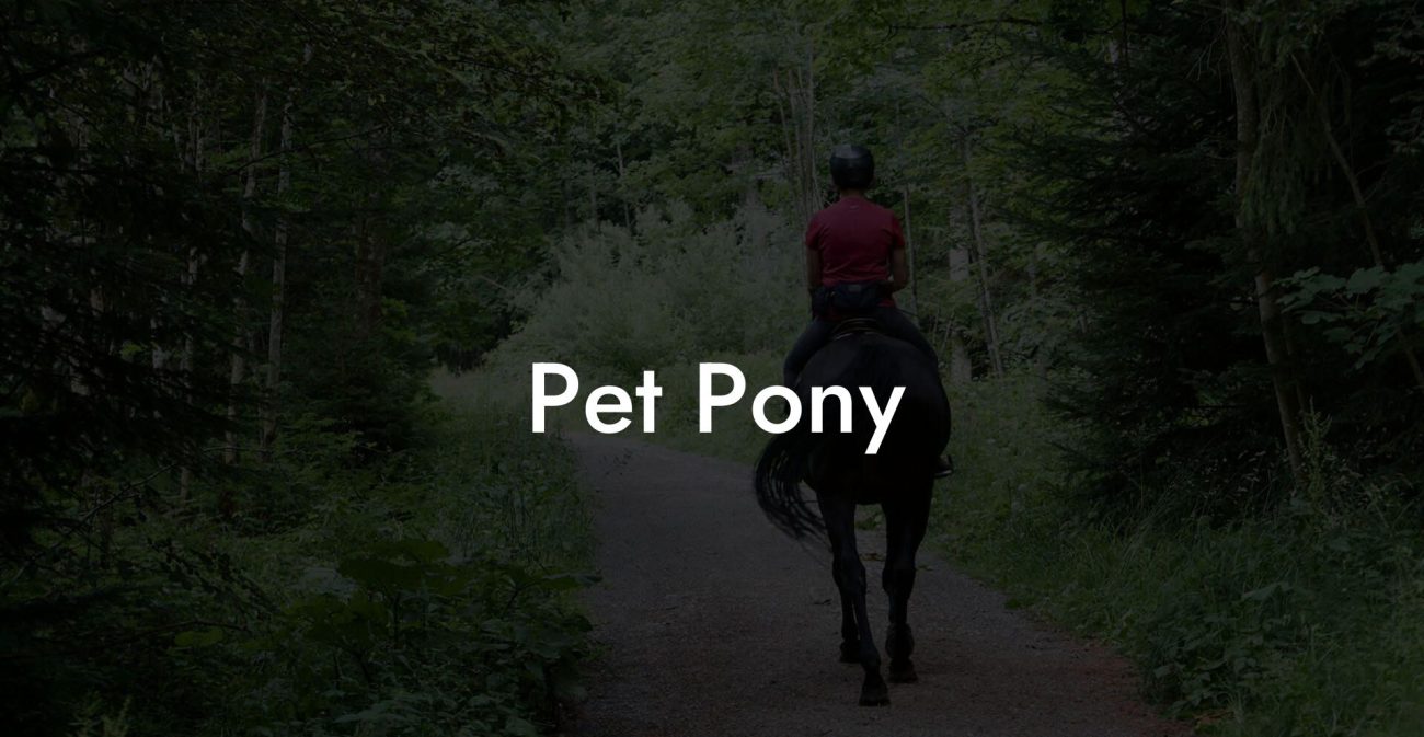 Pet Pony