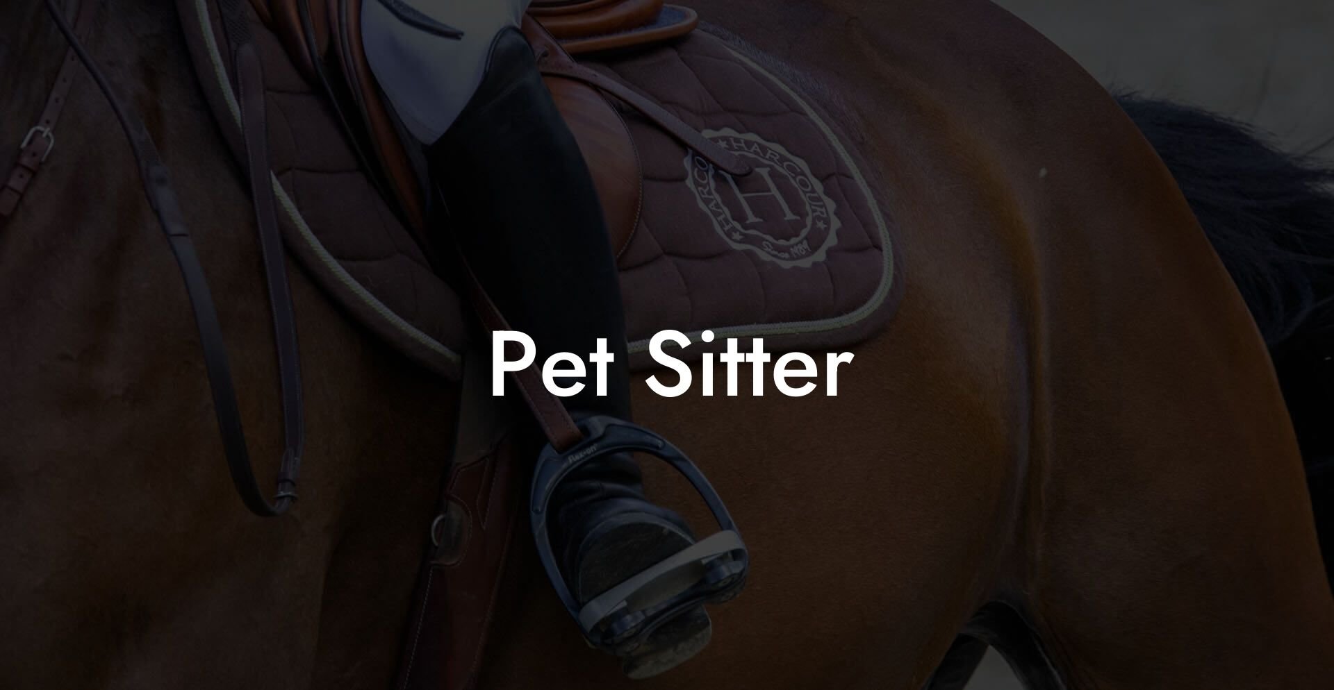 Pet Sitter