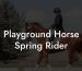 Playground Horse Spring Rider