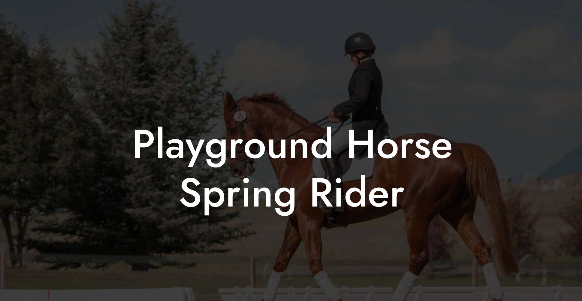 Playground Horse Spring Rider