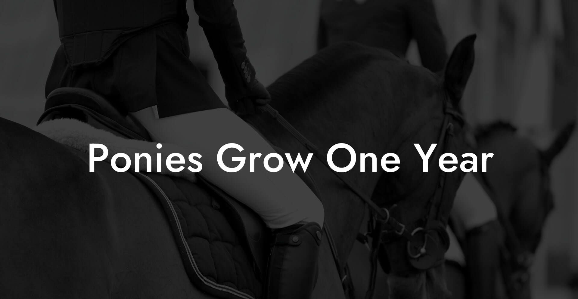 Ponies Grow One Year