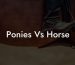 Ponies Vs Horse