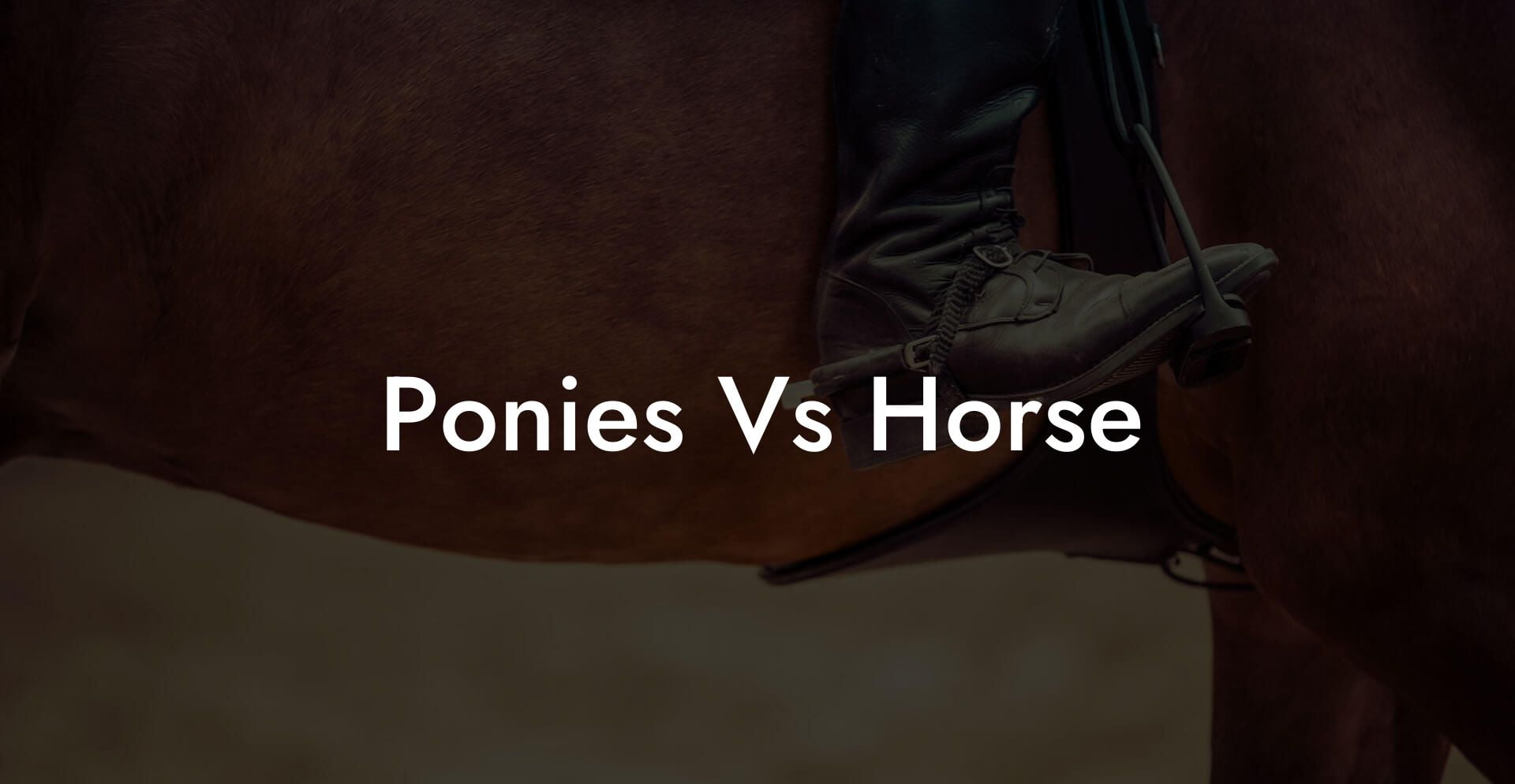 Ponies Vs Horse