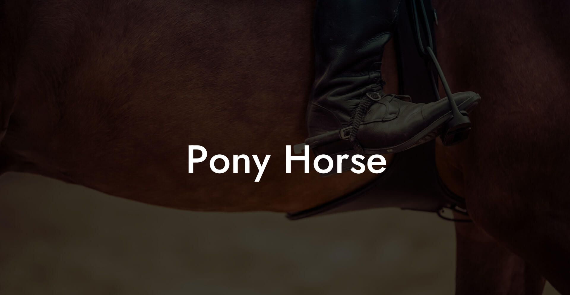 Pony Horse