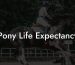 Pony Life Expectancy