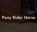 Pony Rider Horse