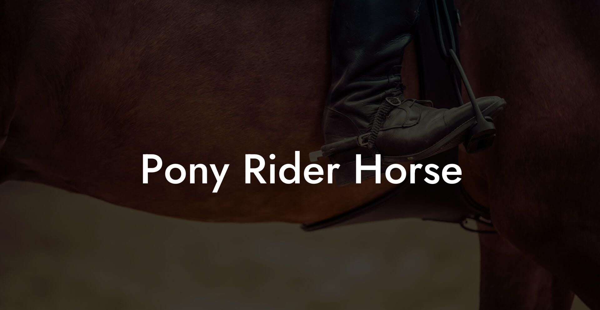 Pony Rider Horse