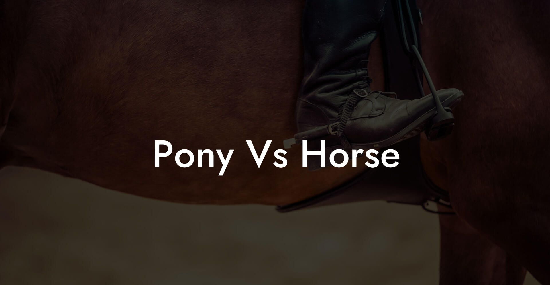 Pony Vs Horse