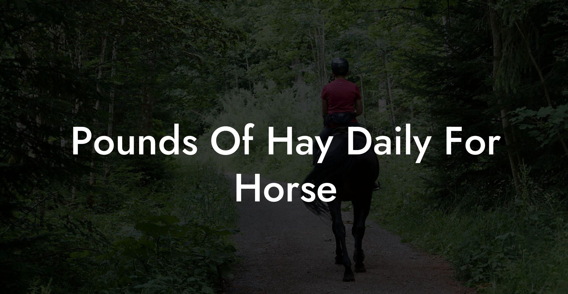 Pounds Of Hay Daily For Horse