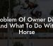Problem Of Owner Dies And What To Do With Horse
