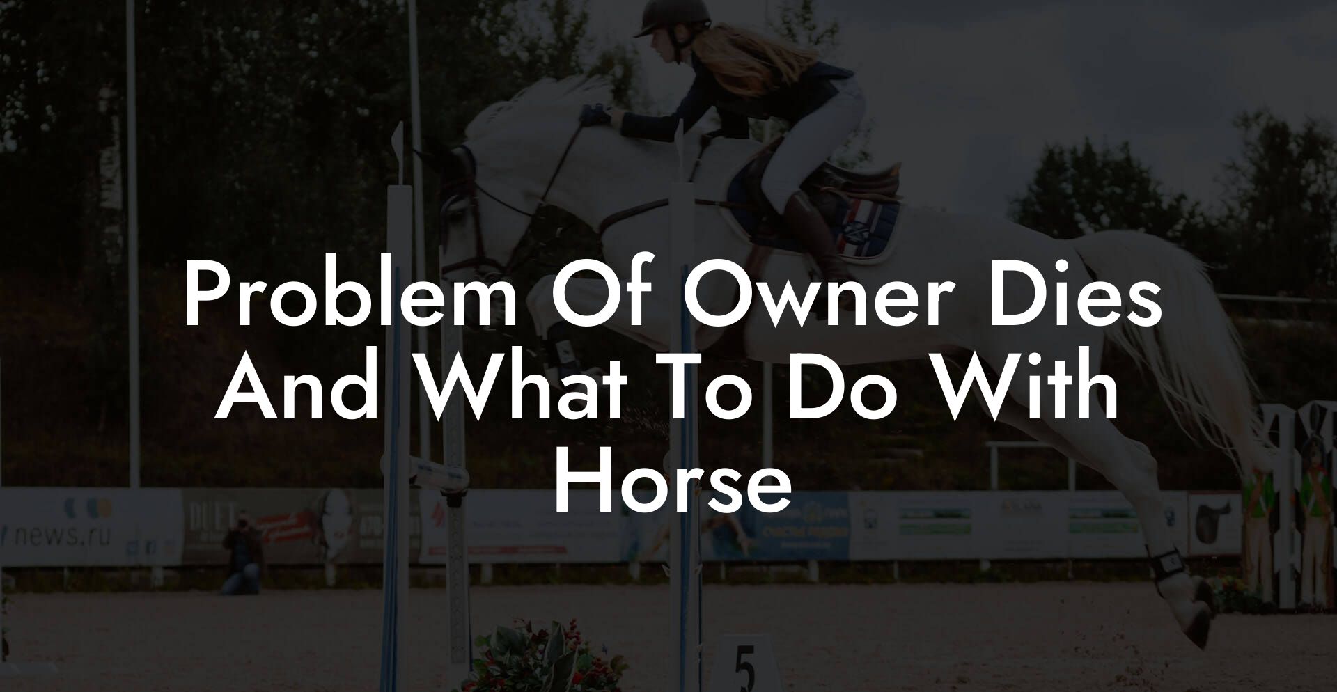 Problem Of Owner Dies And What To Do With Horse