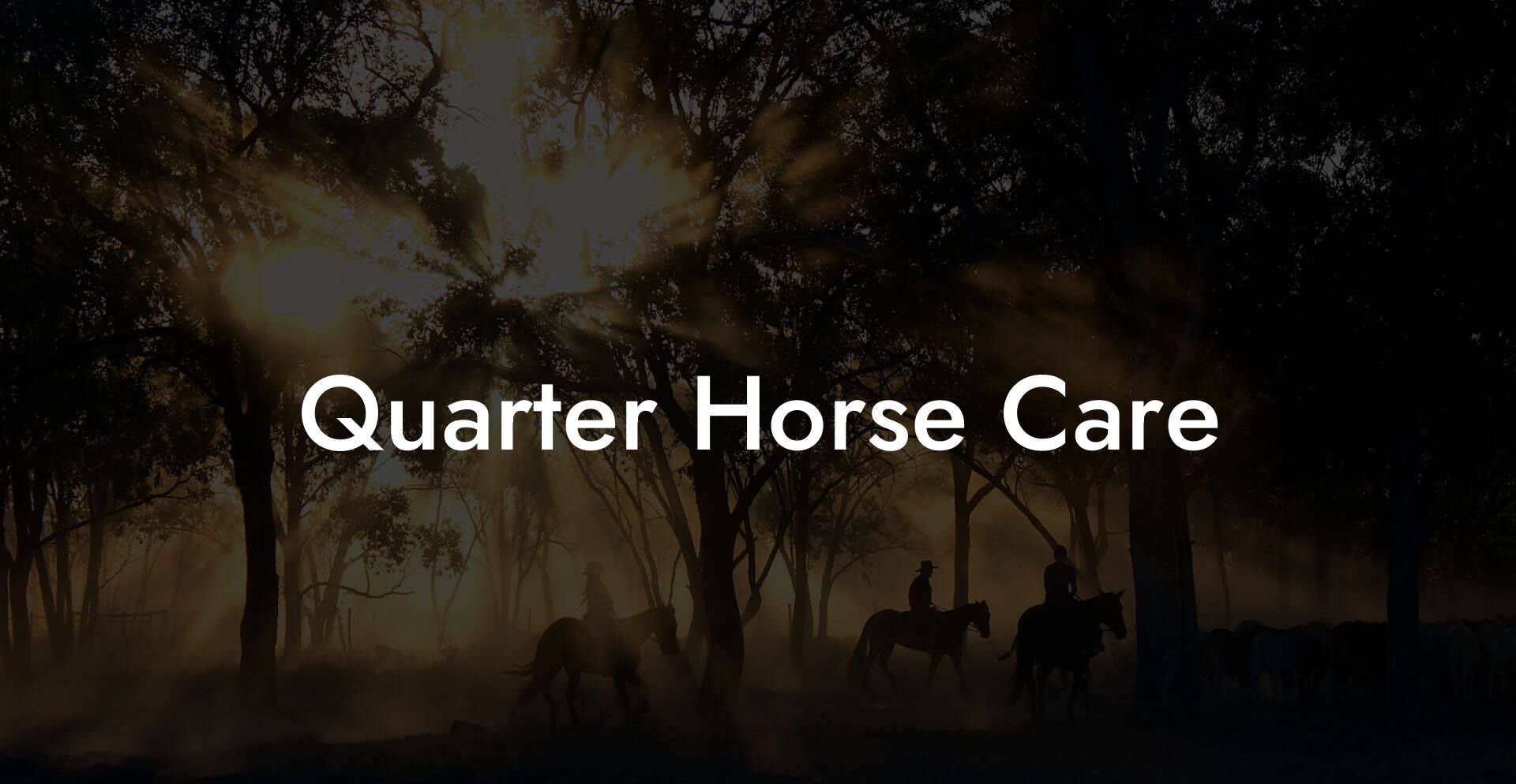 Quarter Horse Care