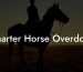 Quarter Horse Overdone