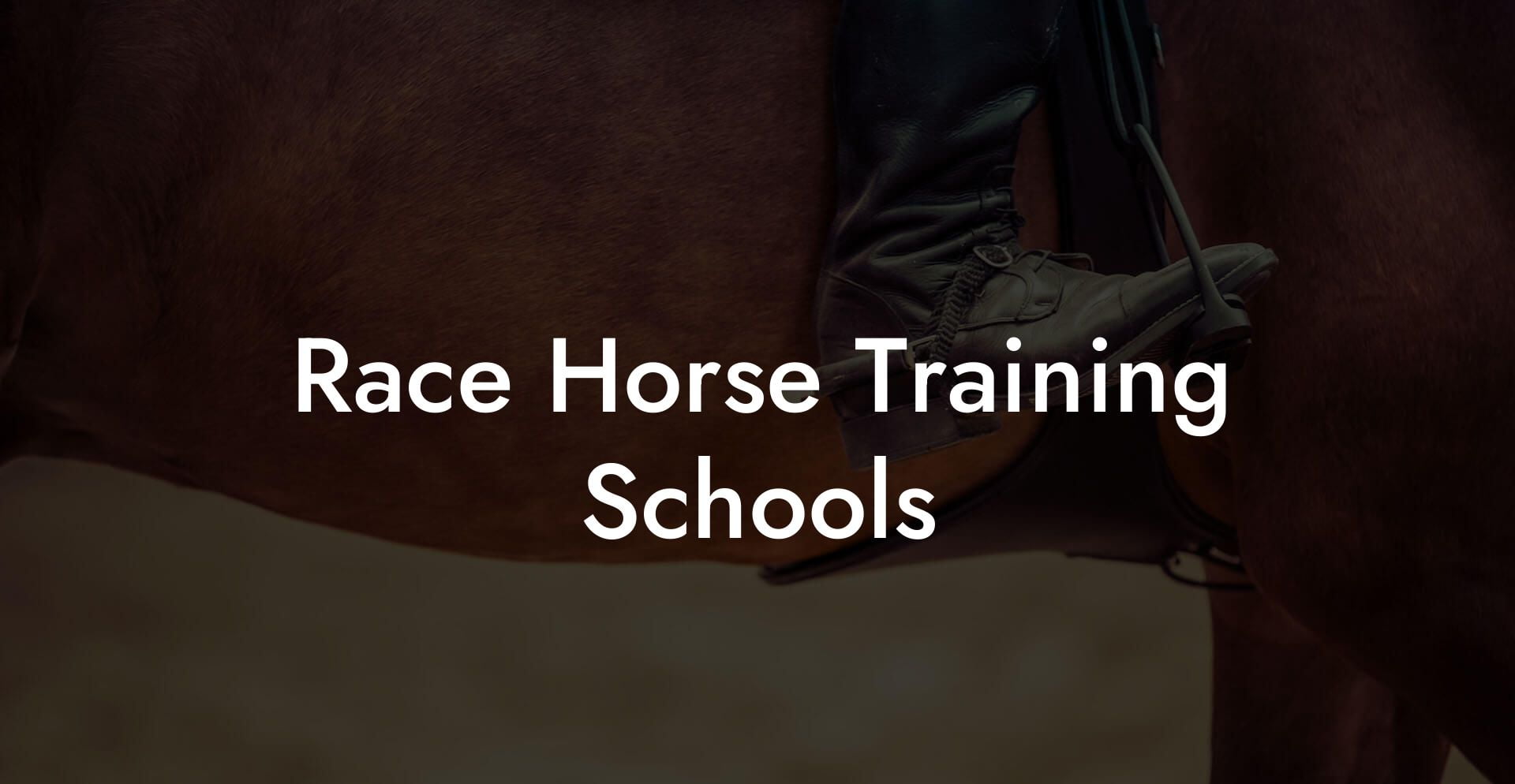 Race Horse Training Schools