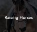 Raising Horses