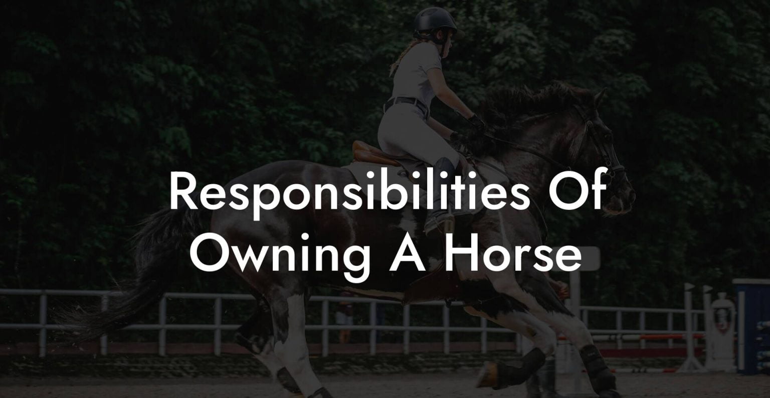 Responsibilities Of Owning A Horse How To Own a Horse