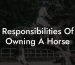 Responsibilities Of Owning A Horse
