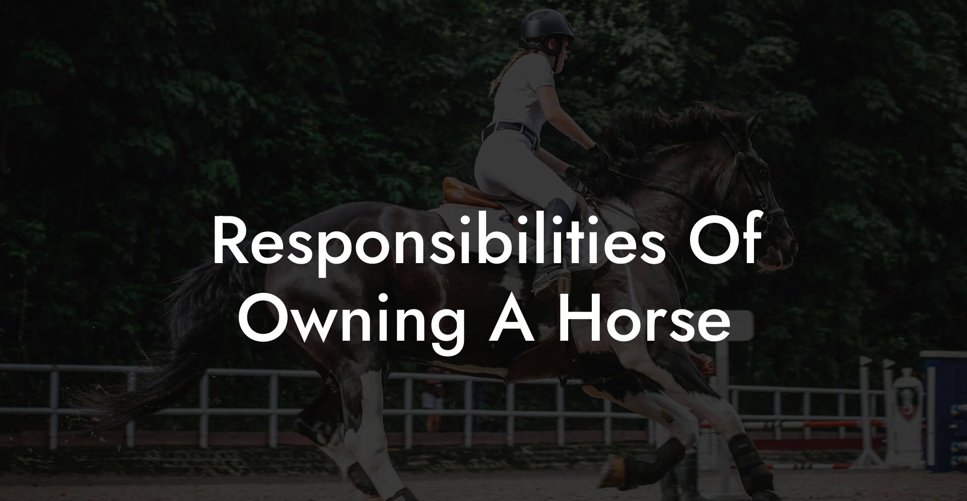 Responsibilities Of Owning A Horse