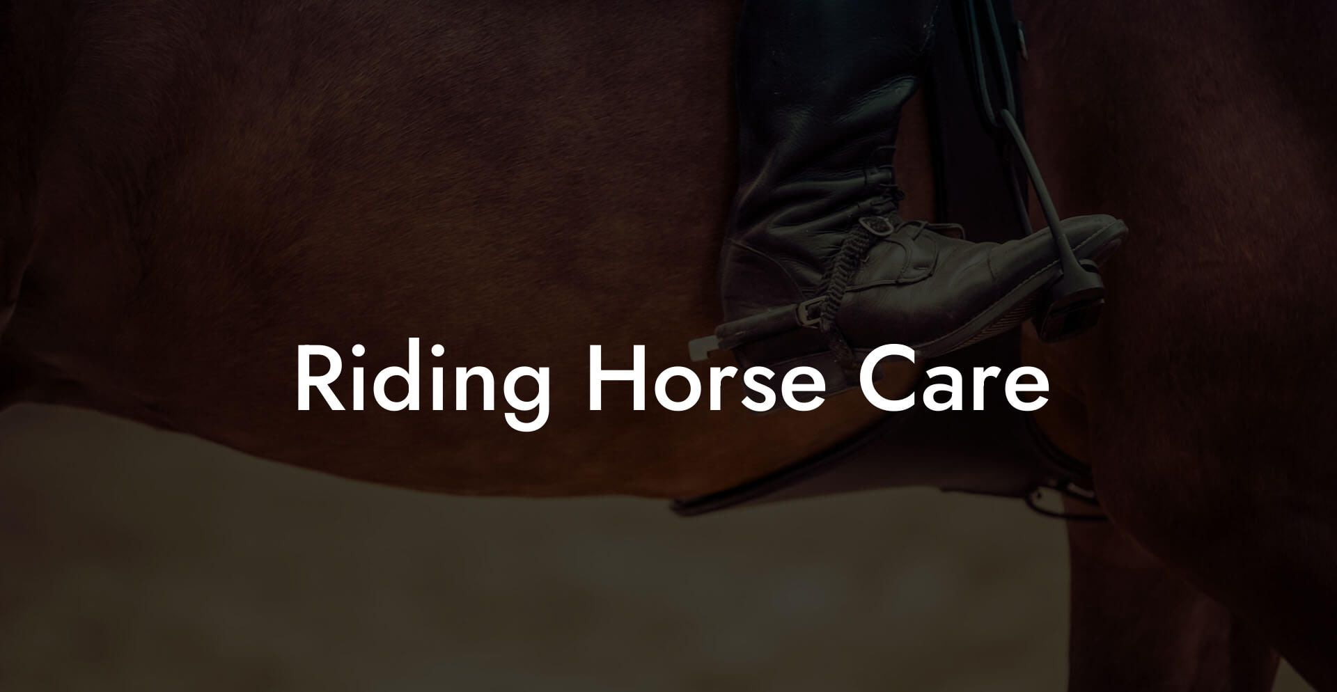 Riding Horse Care