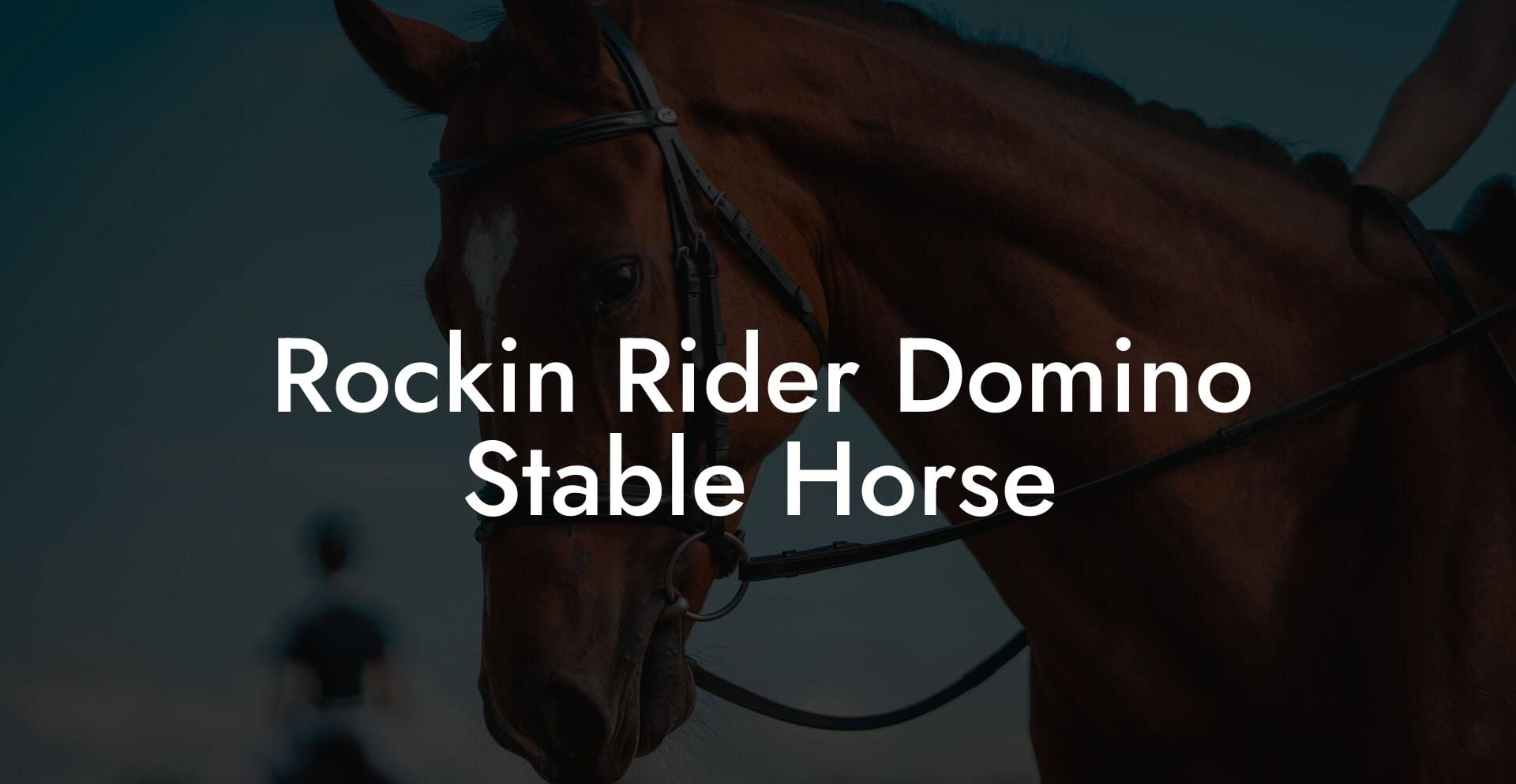 Rockin Rider Domino Stable Horse