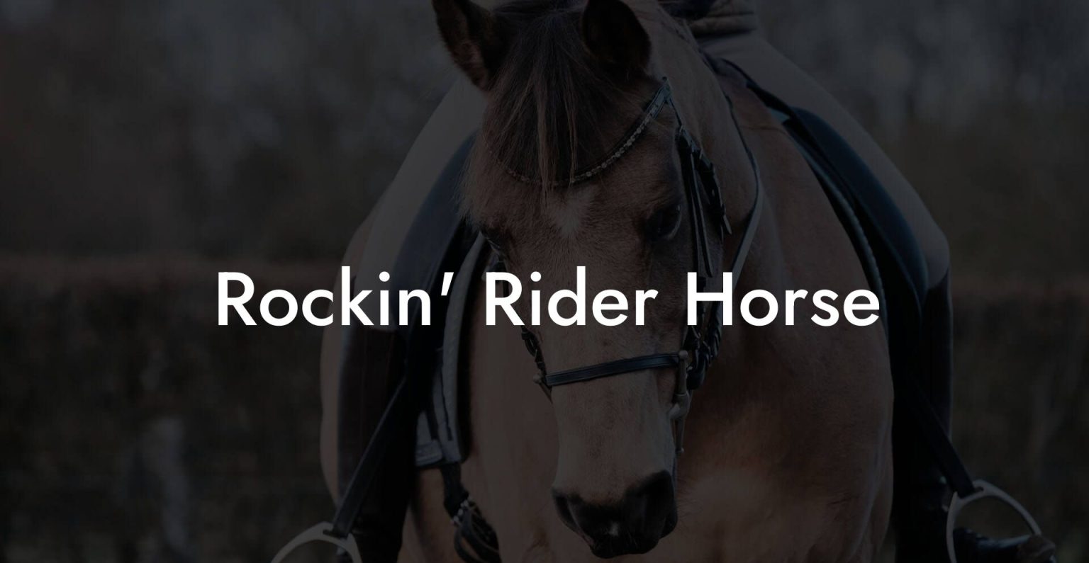 Rockin Rider Horse How To Own a Horse