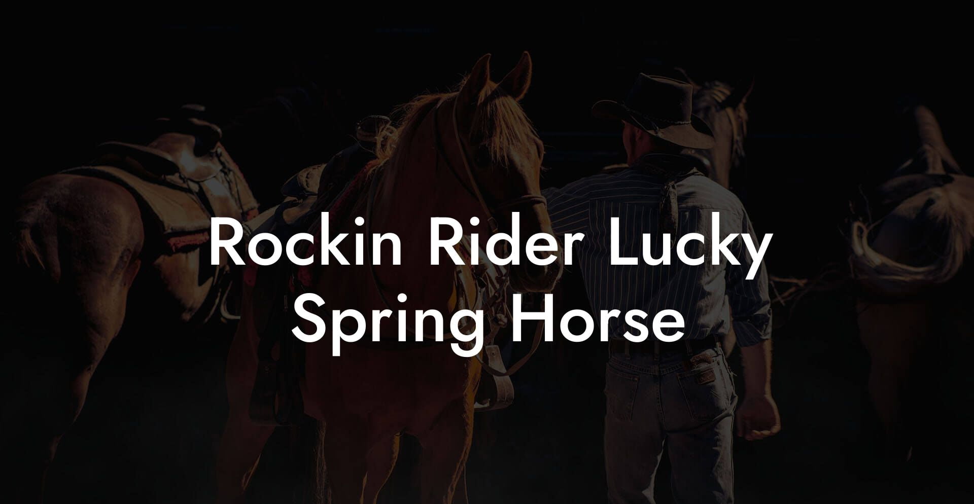 Rockin Rider Lucky Spring Horse