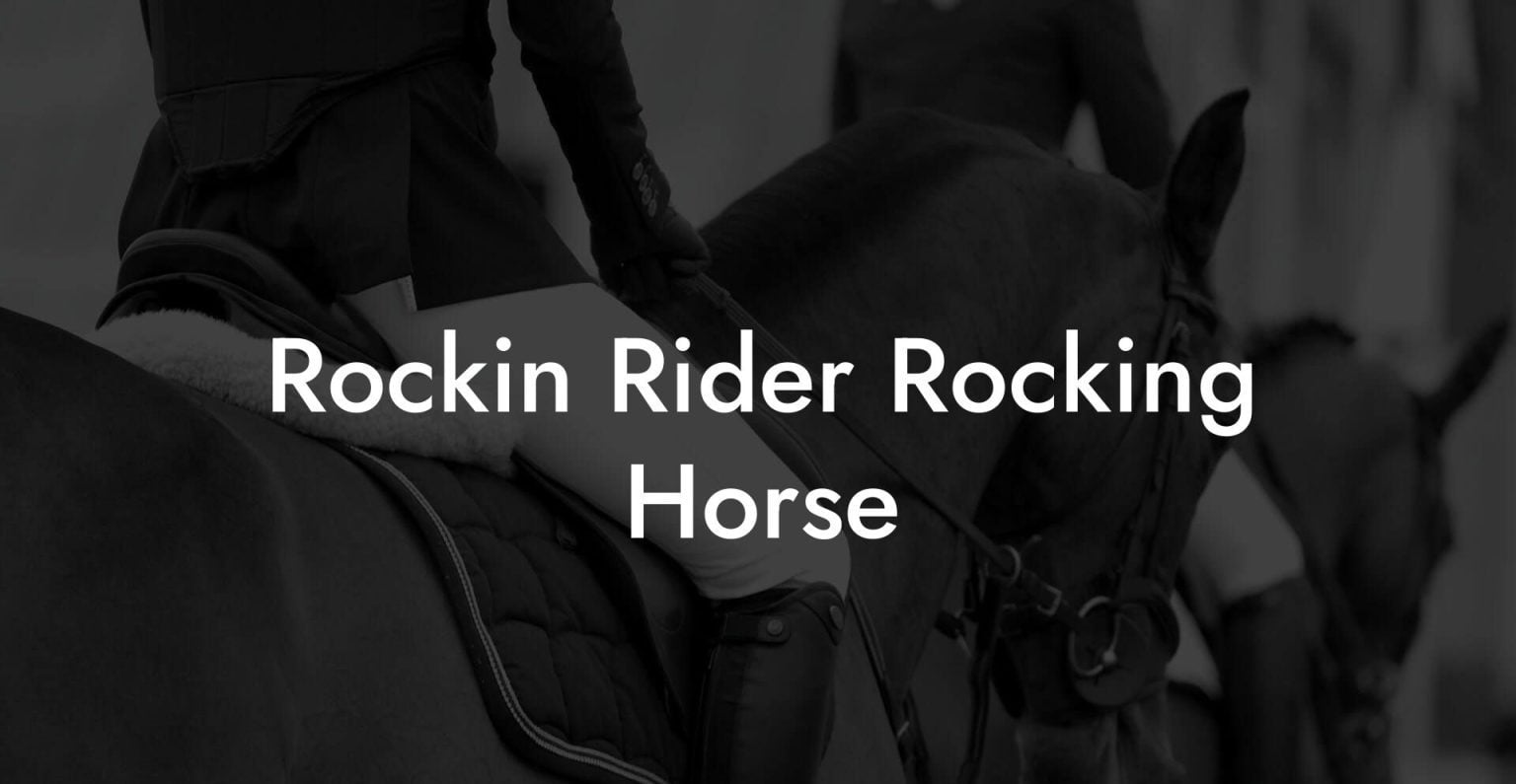 Rockin Rider Rocking Horse How To Own a Horse